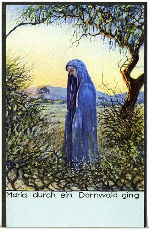 Maria durch ein Dornwald ging (German Edition)