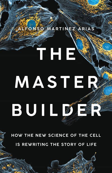 Master Builder 2.0 Advanced