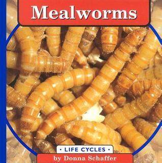 Mealworms (Life Cycles)