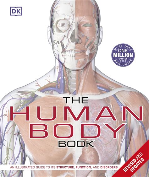 Mediating the Human Body
