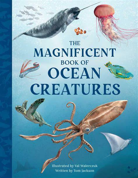 Mermaids, Pirates and Sea Creatures