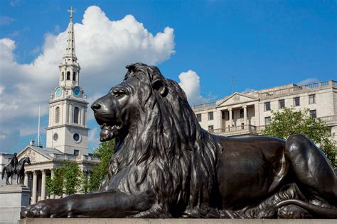 Merpati di Trafalgar Square