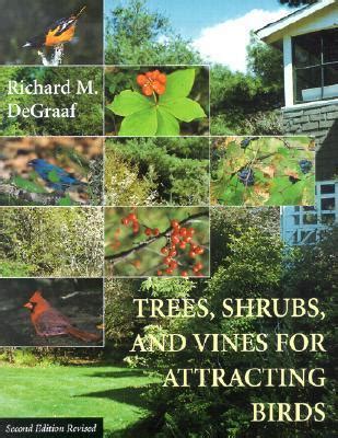 Methods of Attracting Birds