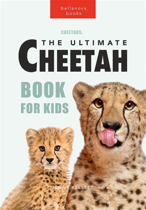Mia's Cheetah