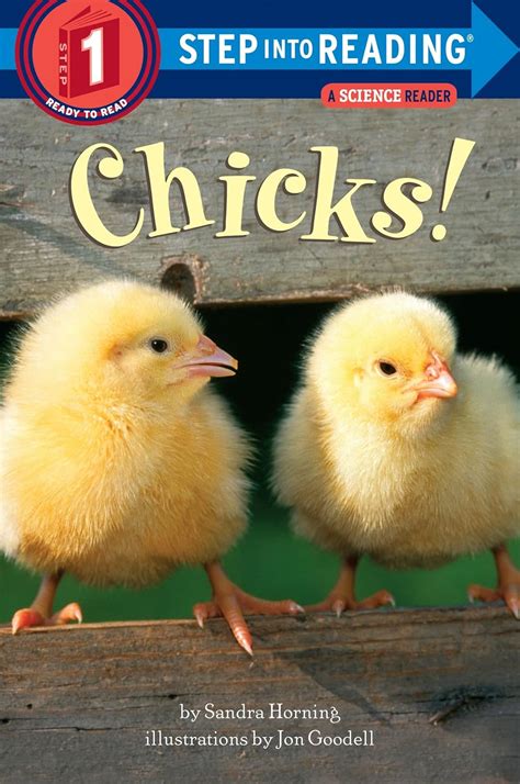 Mini Color Chick