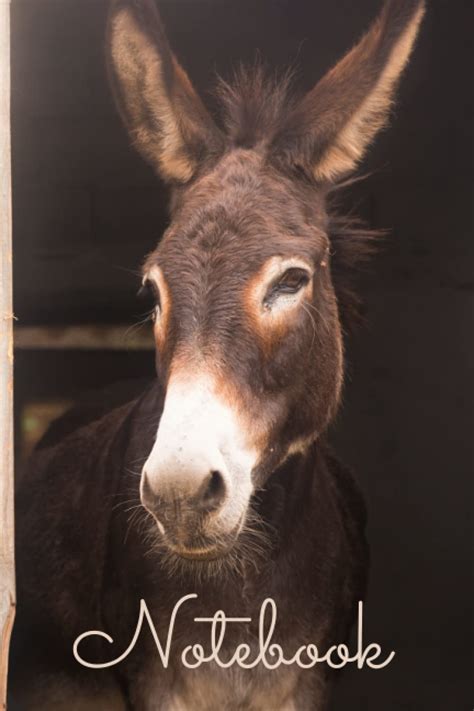 Miniature Donkey Notebook (10th Edition 2002)