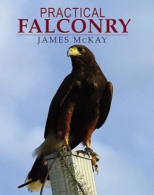 Modern Falconry