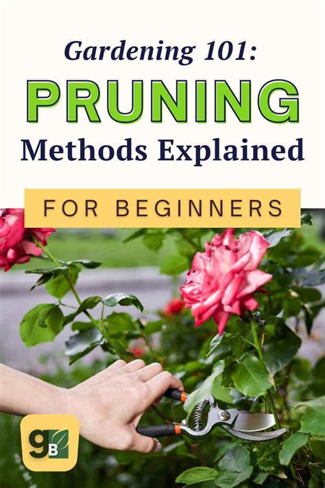 Modern pruning methods (B)