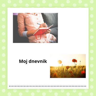 Moj dnevnik