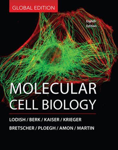 Mol Cell Bio 8E Pi