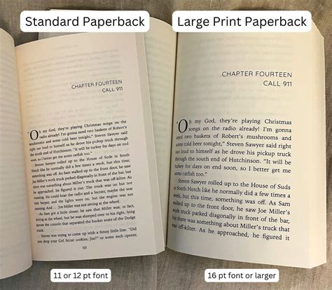 Molly McDonald (Large Print Edition)