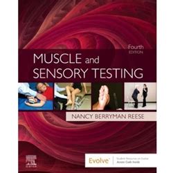 Muscle and Sensory Testing