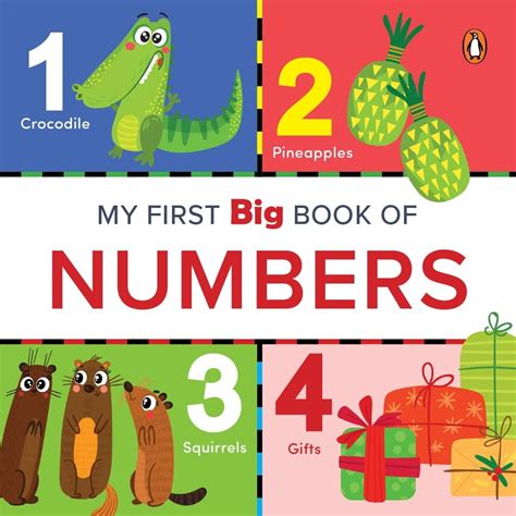 My Big Numbers Book
