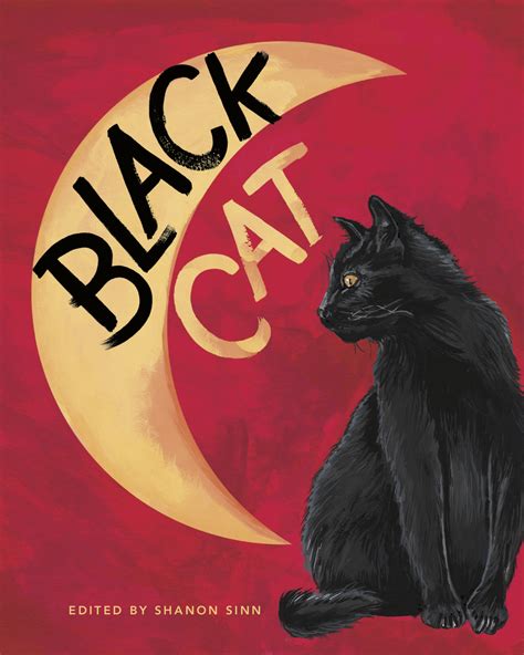 My Black Cat
