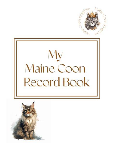 My Cat, Coon Cat