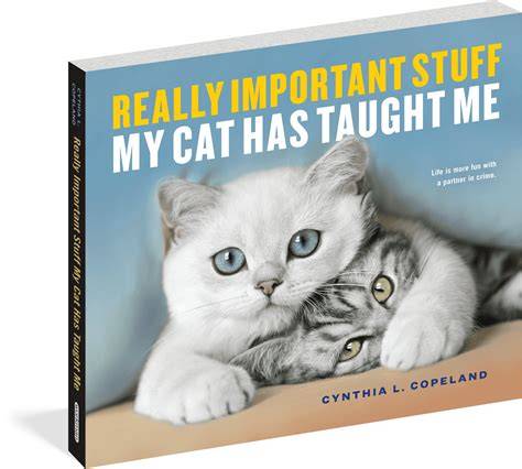 My Girlfriend Is aA Cat