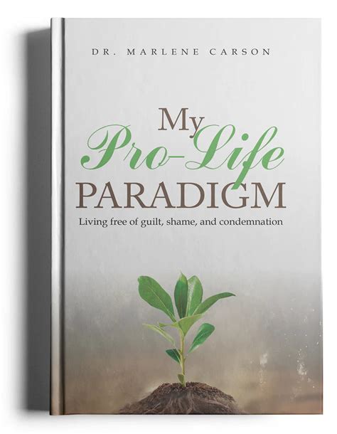 My ProLife Paradigm