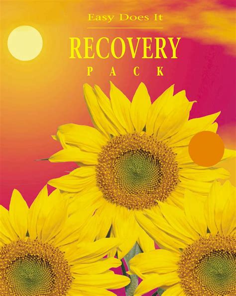 My recovery journal