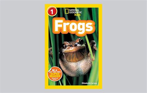 NO MORE NIGHTS WITH THE FROGS