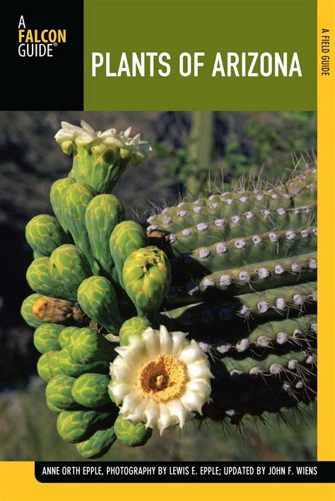 Native Plants of Arizona