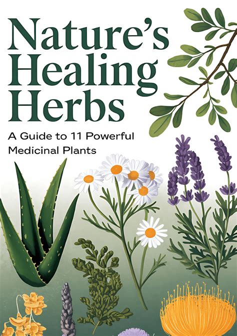 Natures Healing