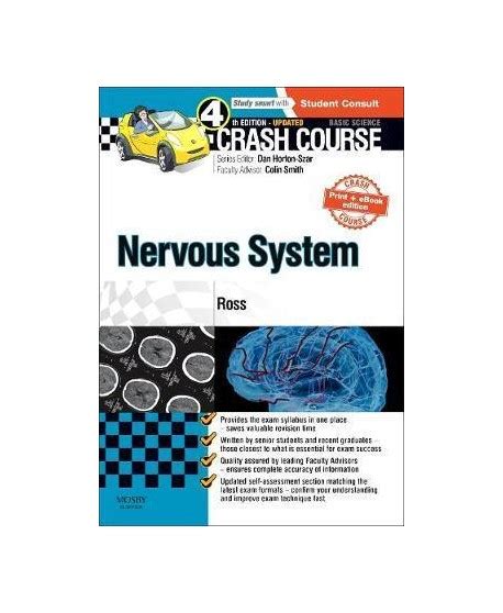 Nervous System (Crash Course)
