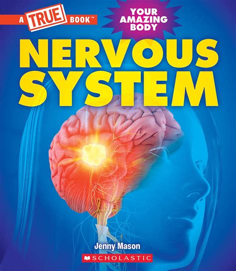 Nervous system