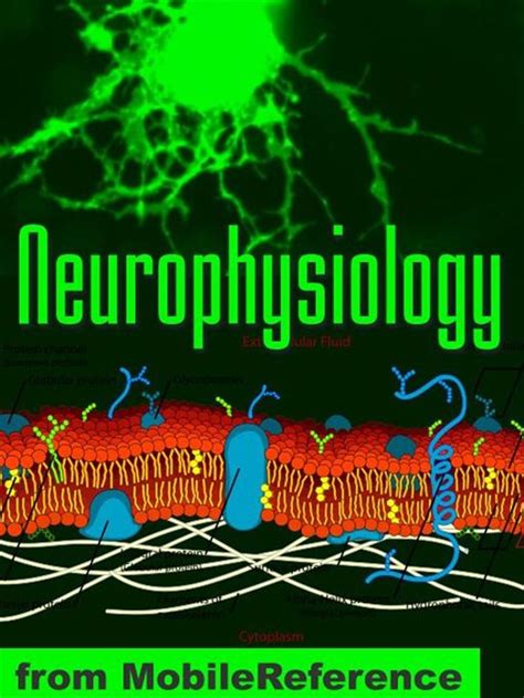 Neurophysiology ( Study Guide)