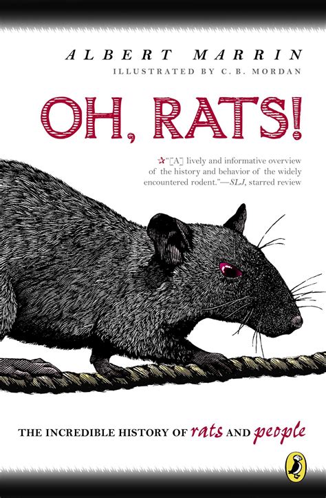 Night of the Rat