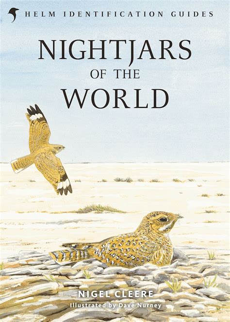 Nightjars