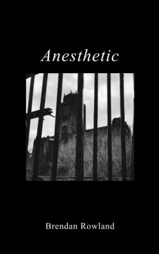 No Anesthetic