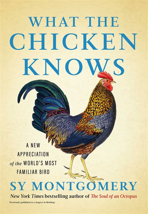 Not Even With a Chicken