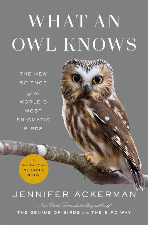 Not an Owl