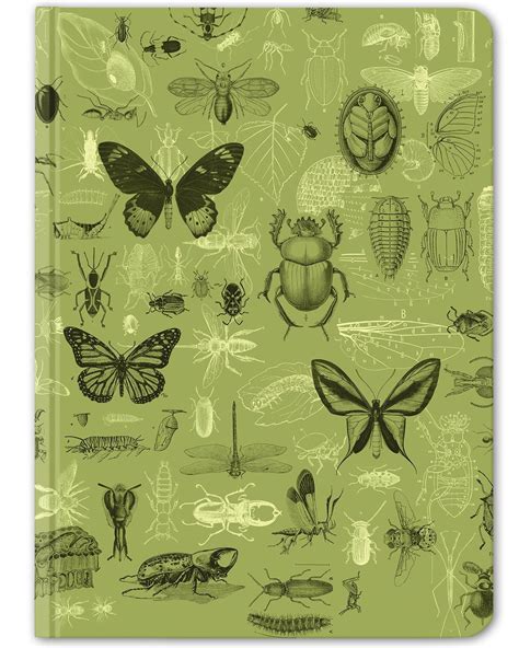 Notebook: Insect Themed Notebook