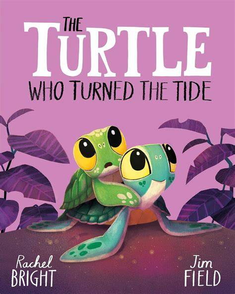 Notebook: Turtle