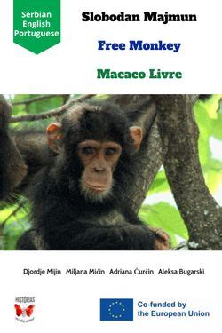O Macaco