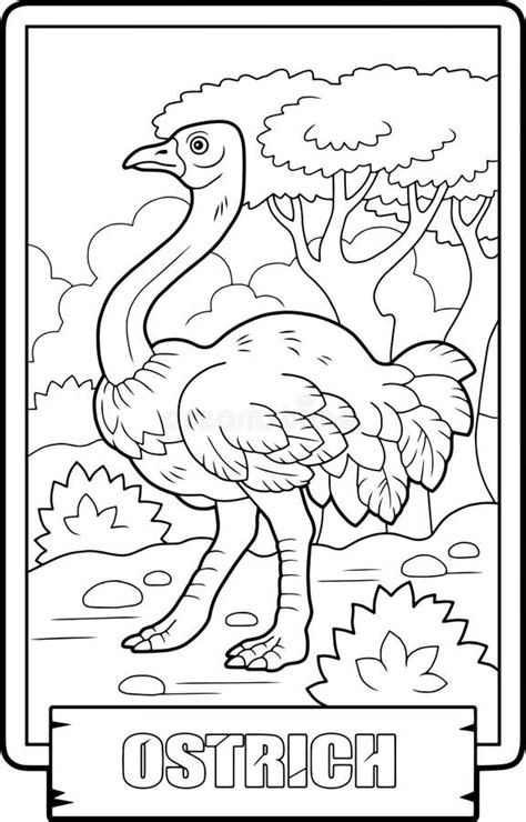 OSTRICH COLOURING BOOK FOR KIDS