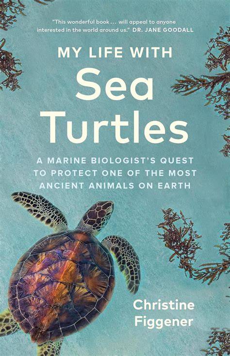 On the Trail of Sea Turtles