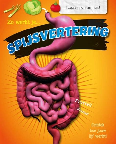 Onze spijsvertering