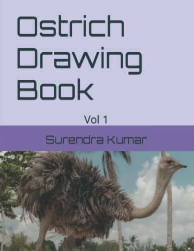 Ostrich Drawing Book