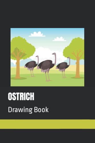Ostrich draw scatches