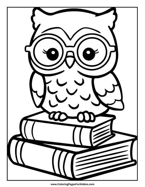 Owls Coloring Book