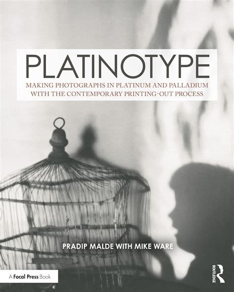 PLATINOTYPE PROCESSES.