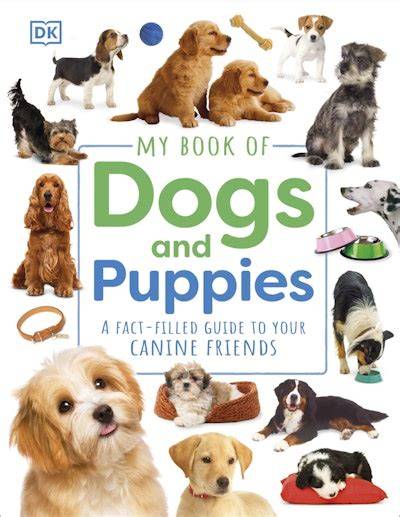 PUPPIES.... PUPPIES.... PUPPIES