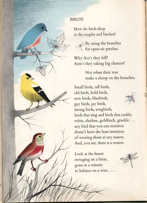 Paper Bird: Poems