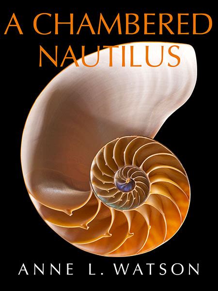 Paper Nautilus