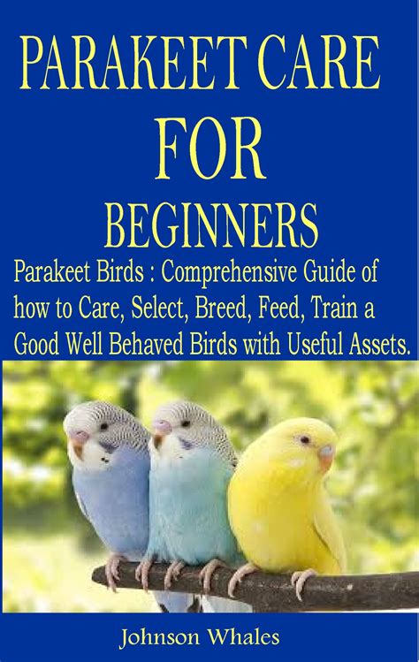 Parakeet for Beginners