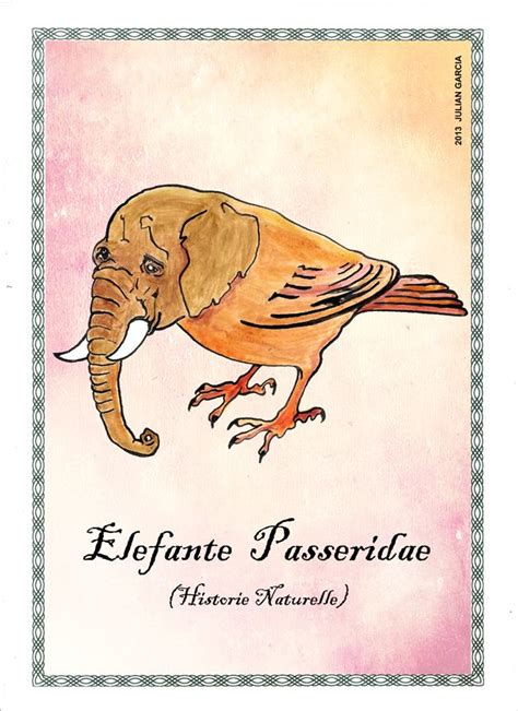 Passeridae