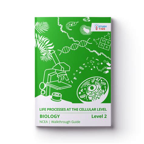 Patterns of Life - NCEA Level 2