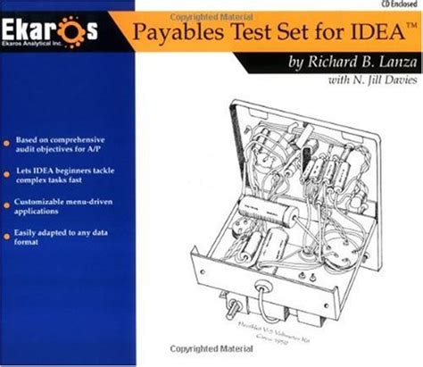 Payables Test Set for IDEA